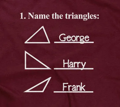 Name The Triangles (Math Problem) Hoodie