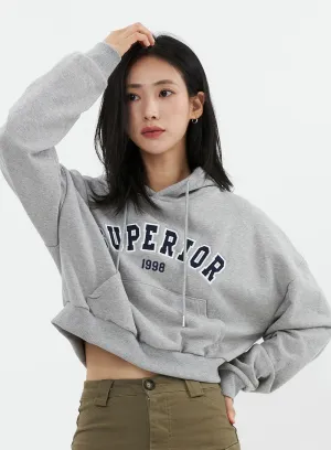 Varsity Cropped Hooded Sweatshirt OS326